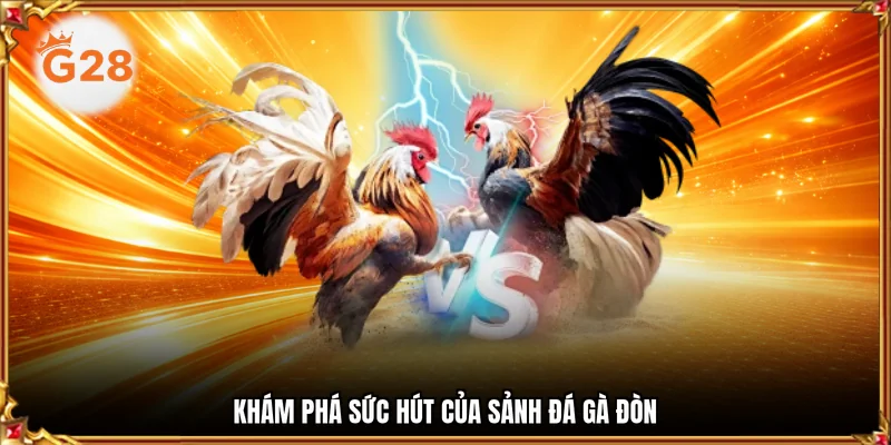 Khám phá sức hút của sảnh đá gà đòn