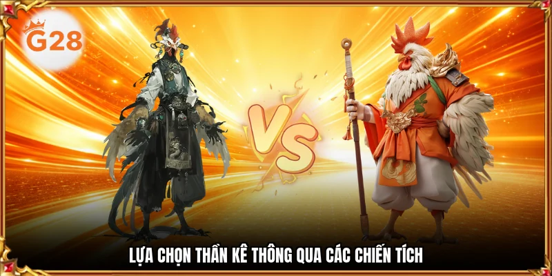 Lựa chọn thần kê thông qua các chiến tích
