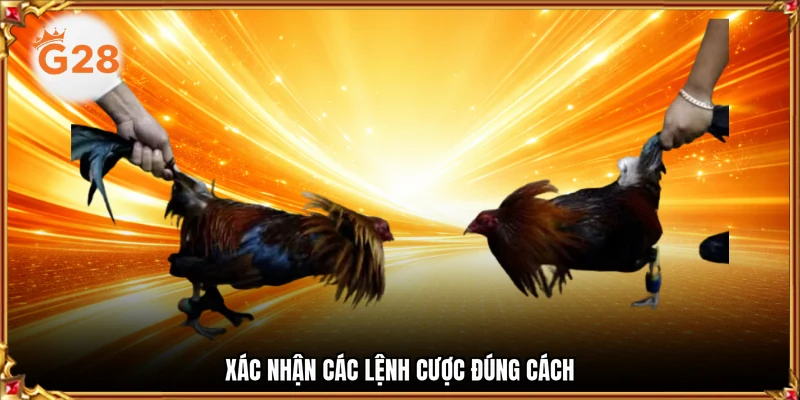 Xác nhận các lệnh cược đúng cách
